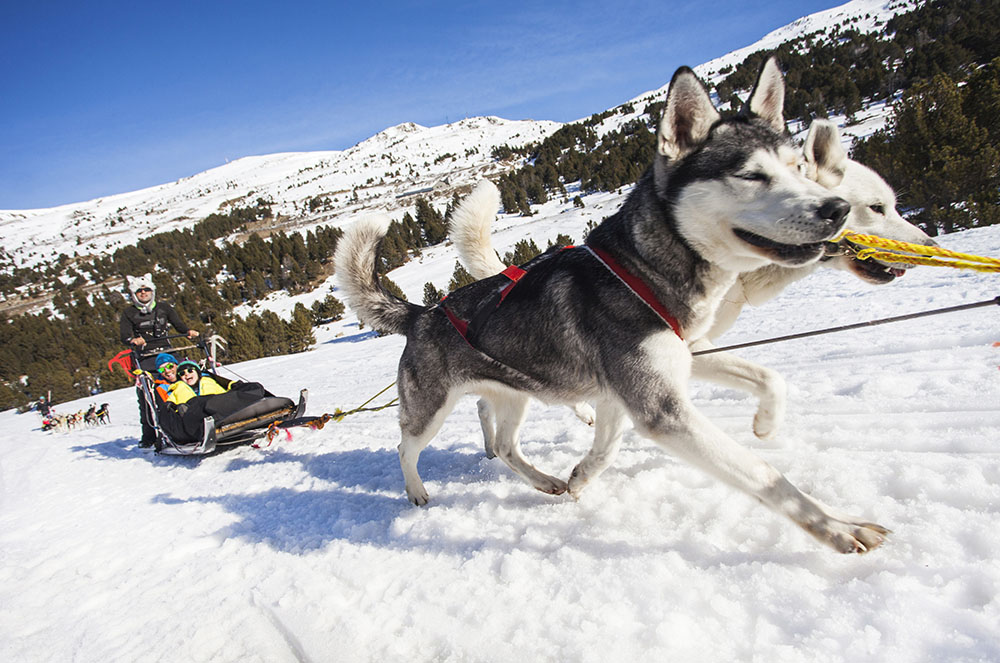 trineo de perros grandvalira